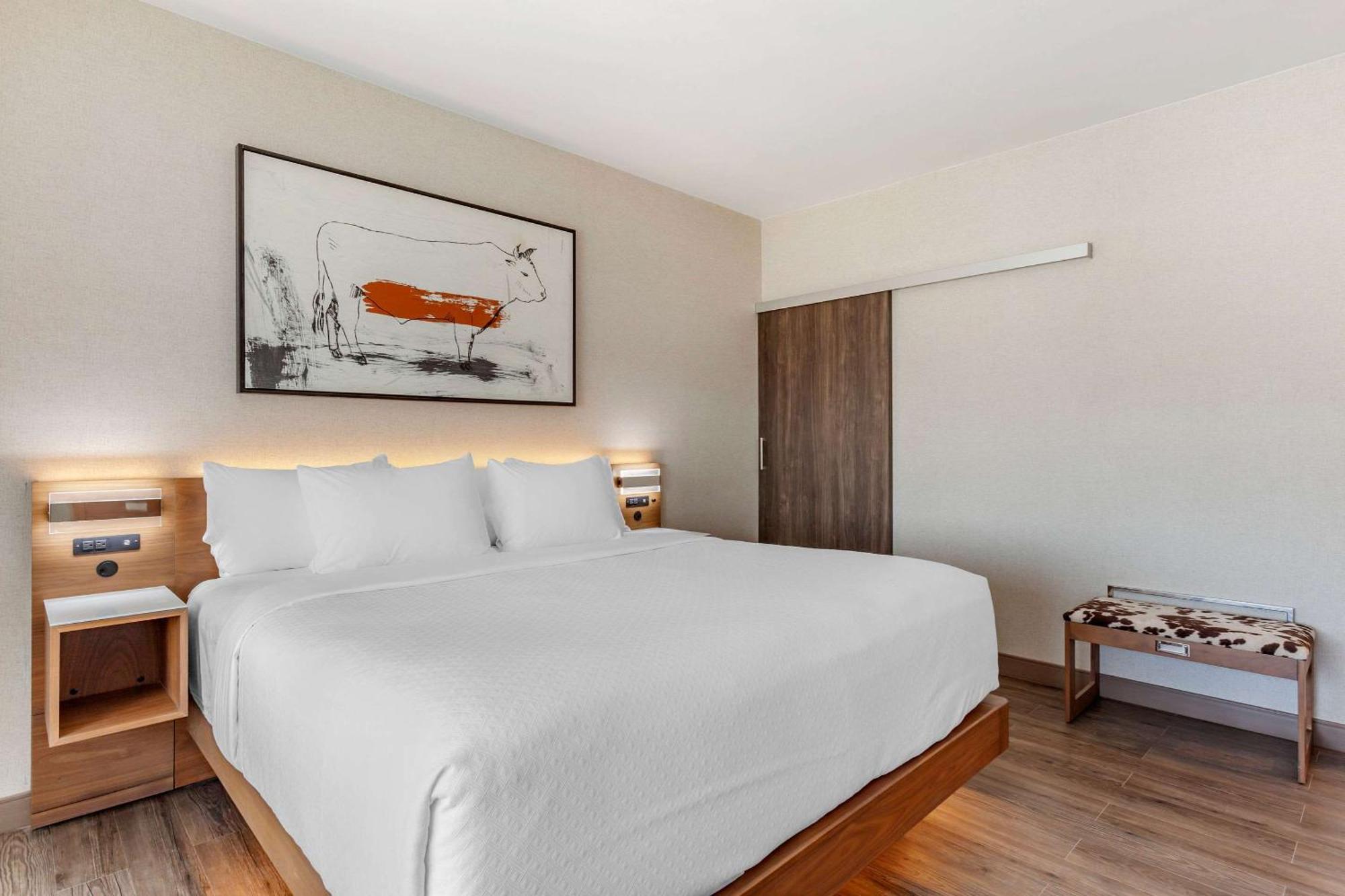 Cambria Hotel Richardson - Dallas Εξωτερικό φωτογραφία