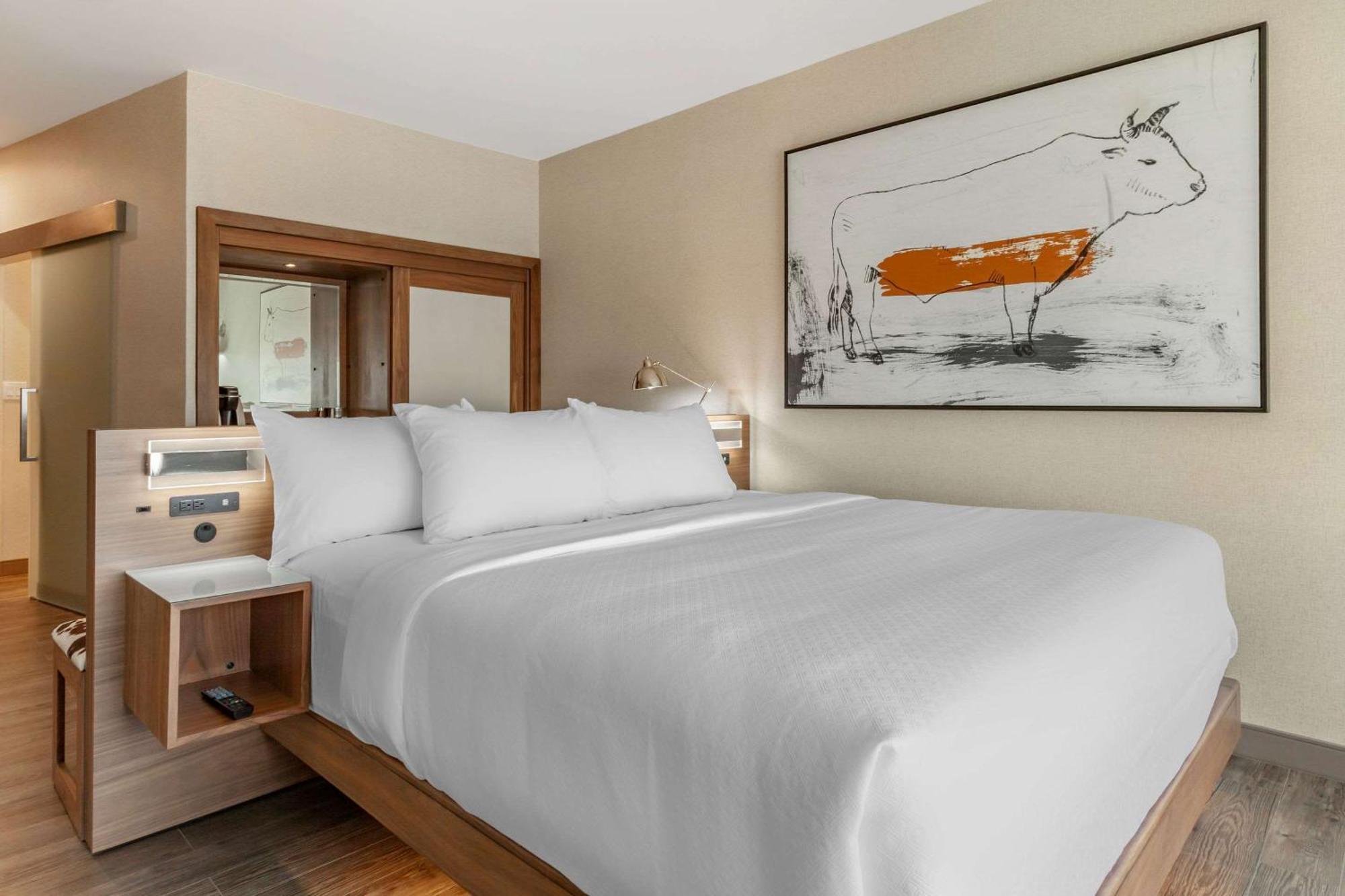Cambria Hotel Richardson - Dallas Εξωτερικό φωτογραφία