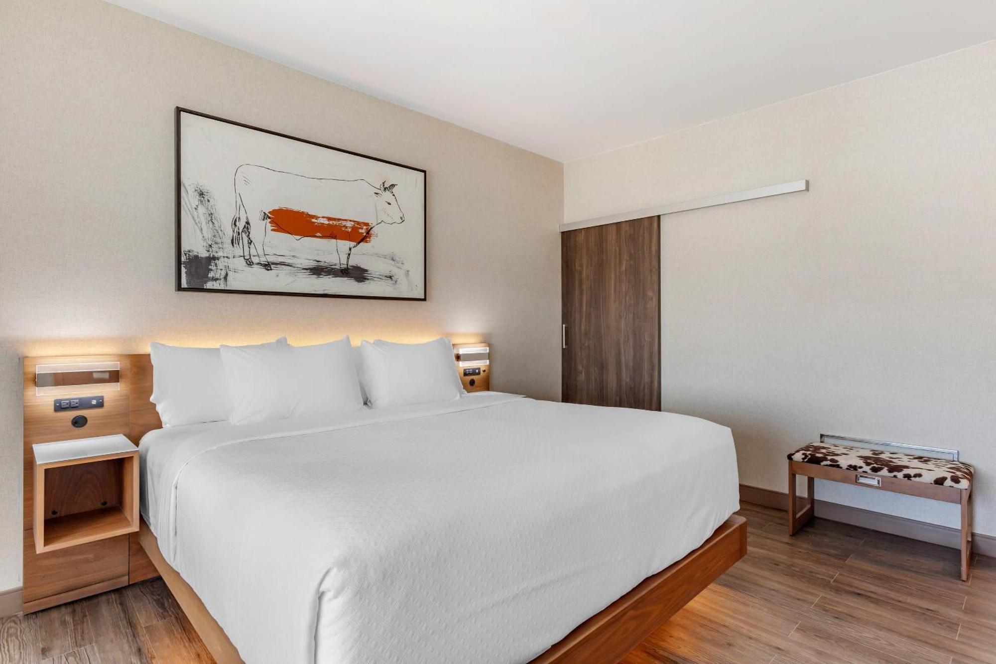 Cambria Hotel Richardson - Dallas Εξωτερικό φωτογραφία